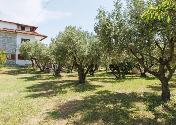 Large Near Potamos * Epanomí